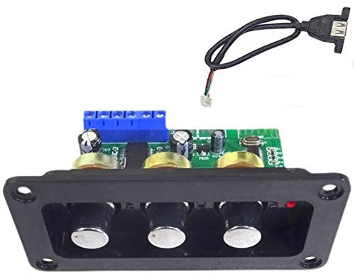 CENMEN Scheda Audio di Potenza Amplificatore Bluetooth 5.0 Piastra Amplificatore di Potenza Stadio Mono 30W Decoder Disco U con USB