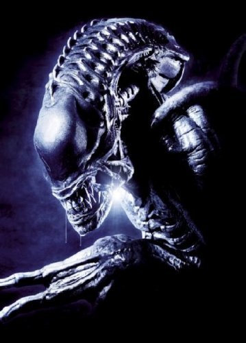 Filmposter Alien vs. Predator, 28 x 43 cm, #01#a840