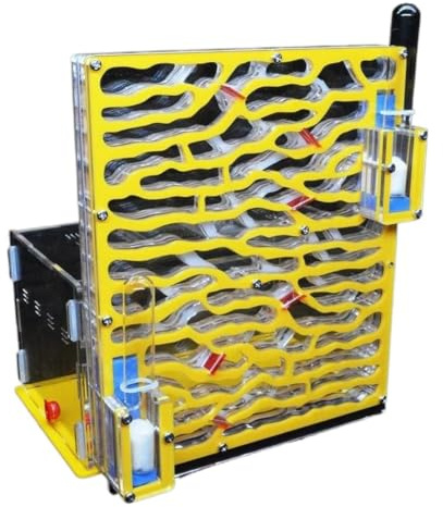Ameisenformikarium, Acrylameise. Mit Reagenzglas - Ameisennest Formicarium als Geschenk for wissenschaftliche Experimente