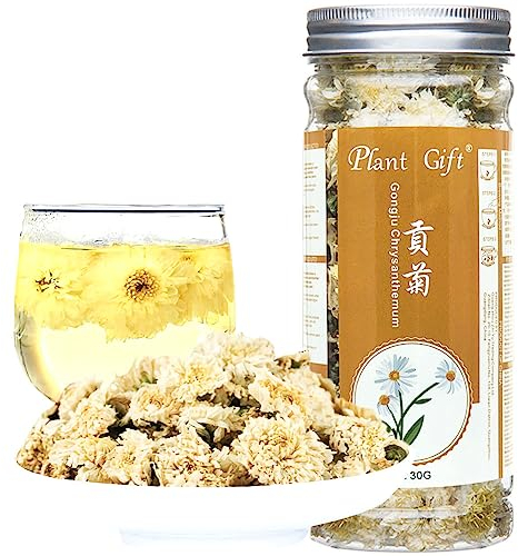 Plant Gift Huangshan Gongju Yellow flor de crisantemo, 贡菊 crisantemo, amarillo té, adelgazante belleza cuidado de la piel salud herbario chino flor 30g / 1oz