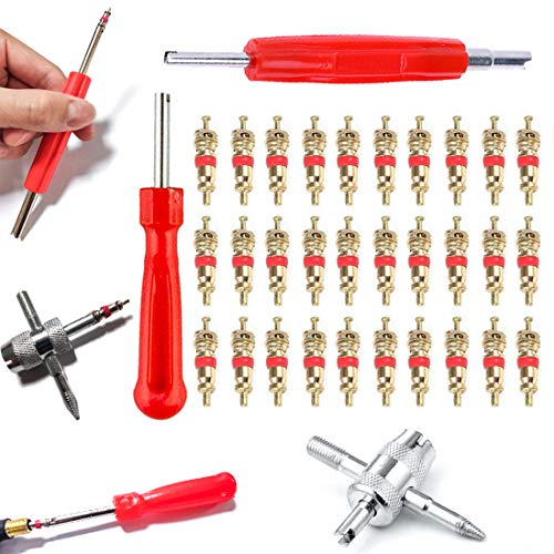 QISF 33 Pcs Démonte obus de Valve Outil de Reparation/Outils pour Valves de Pneus Valve Core Remover avec 30pcs Valve Core pour Voiture Remplacement