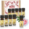com-four® 10x duftende Öle im Set - Raumduft Sommertraum - Duftöl für Aroma-Diffusoren, Lufterfrischer, Wasser-Verdampfer, Luft-Befeuchter (010 Stück - Sommertraum)