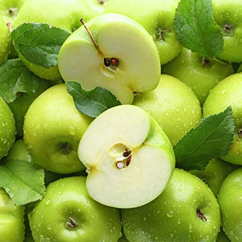 Melo Semi Di Mela Piante Da Giardino Perenni Resistenti Albero Da Frutto Frutta Fresca Semi Organici Piante Resistenti Esotiche Albero Da Frutto A Colonna Semi Di Piante Regalo 50 I Semi Di Melo