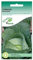 Cabbage Seeds White Brunswick Brassica Oleracea 500 Seeds Grow Your Own Vegetable Indoors in a Greenhouse or Outdoors in a Garden or in Large Pots and Containers