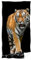 Carbotex Tiger Badetuch Handtuch Strandtuch 70 x 140 cm