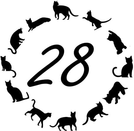 Multi Pack Cute Cat Circle Number Waterproof Sticker - 9 Colours - Custom Wheelie Bin/Recycling Box/House Number/Door Signs