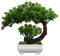 Bonsaï Artificiel Fausse Plante en Pot, RoadLoo 1 Pièce Arbres Artificiels Décoratifs en Pot pour La Maison Bonsaï Artificiel Réaliste Plantes Intérieur pour Balcon Jardin Bureau Ornements