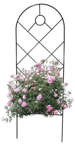 Metal Garden Trellis, Decorative Garden Fence, Climbing Plant Trellis, Plant Support Frame for Climbing Outdoor Vegetables, Vines, Flowers Potted Rose Tomato Cucumber
