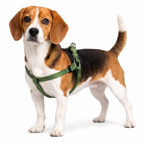 hundegeschirr - ziggi kaki Step&go - größe M - 35-60 cm / 35-60 cm - 20 mm - Nylon hundegeschirr verstellbar mit klickverschluss