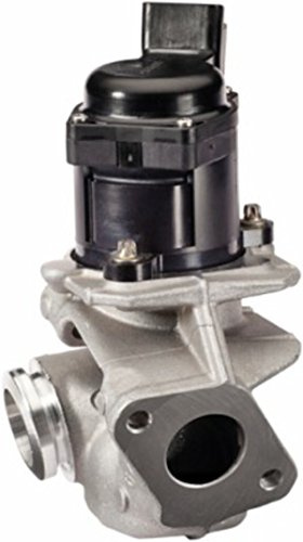 HELLA 6NU 010 171-121 EGR Valve, with seal, with clamp