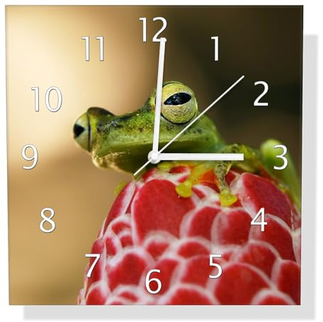 Wallario Design-Wanduhr Frosch sitzt auf Einer Knospe aus Glas, Motiv-Uhr Größe 30 x 30 cm, weiße Zeiger