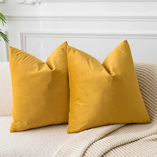 JUSPURBET Pack of 2 Decorative Throw Pillow Covers Soft Solid Velvet Cushion Covers for Couch Bed 26x26 Inch Euro Gold