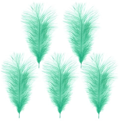 WedDecor Mint Colour Natural Ostrich Feathers 14-16 (35-40cm) Long for Wedding Centerpieces, Home, Decorating Costumes, Embellishment, Art & Craft, Parties (Pack of 5)