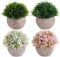 ilauke Artificial Potted Plants, 4PCS Mini Fake Flower and Grass in Round Pot, Small Faux Plastic Greenery for House & Office Decorations