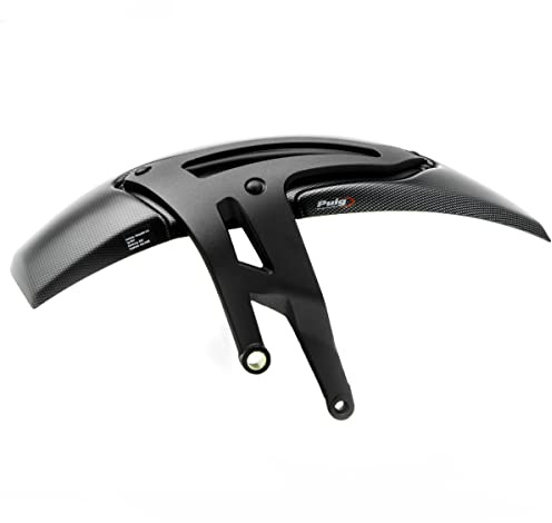 Hinterradabdeckung kompatibel mit BMW R 1250 R/RS 19-25 Carbon Look Puig