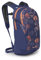 Osprey Daylite Unisex Lifestyle Backpack Wild Blossom Print/Alkaline O/S