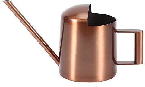 Mini Arrosoir de 300 Ml, Arrosoir en Métal en Acier Inoxydable, Petit Arrosoir à Long Bec pour Plantes, Arrosoir de Jardin pour Fleurs D'intérieur et D'extérieur, Plantes Succulentes, Jardin de Plante