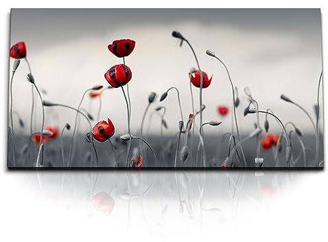 Paul Sinus Kunstdruck Bilder 120x60cm Rote Blumen Feldblumen Wildblumen Mohn