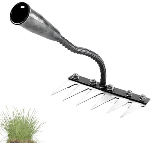 5/6/7/8 Dents Rateau De DéSherbage avec Manche, Portable Rateau De DéSherbage Berthaus pour DéSherber/Ameublir/Semence (6 Dents)
