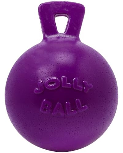 Jolly Pets 6-Inch Tug-n-Toss, Purple 406 PR