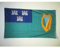 AZ FLAG - Flagge Dublin - 150x90 cm - Dublin Fahne 90 x 150 Cm Scheide Für Mast - Flaggen