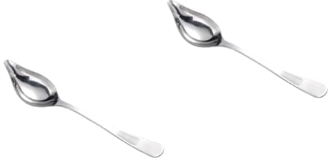 HOMSFOU 2pcs Stainless Steel Spoon Dressing Spoon Food Dispenser Gravy Serving Spoon Gray Kunz Spoons Canning Ladle Cooking Ladle Cooking Oil Spoon Desert Decor Grease Mixing Spoon