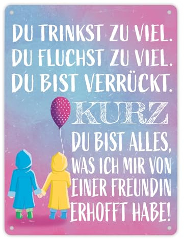 Beste Freundin Metallschild XL in 21x28 cm mit verrücktem Spruch Geschenkidee für die beste Freundin die schon fast zur Familie gehört um ihr zu zeigen wie lieb man sie hat