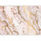murando - Papier peint panoramique artistique 400x280 cm - Revêtement mural décoration pour chambre salon - Design unique et moderne - Gris beige - Abstraction de texture de marbre f-C-0494-a-a