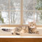 pet prime Cat Window Bed, Cat Window Hammock, Sill Non-Slip Lounger Cushion for Windowsill 90x28cm(Beige)