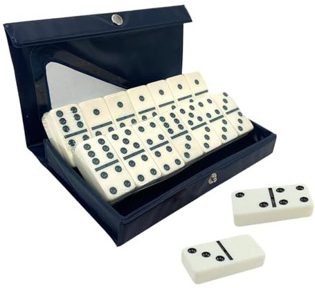F Fityle Jeu de dominos Double Six avec étui de transport, activité professionnelle, jouet éducatif, jeu de tuiles classique pour soirée de jeu, filles et