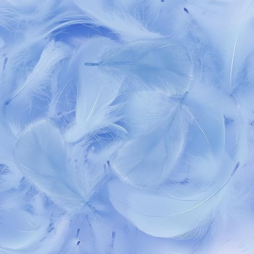 Mbsomnus 600 Stück Federn zum Basteln Hellblau Federn Natürliche Feder Deko Bastelfedern für DIY Handwerk Traumfänger Ohrringen Federblumen Kopfschmuck Hochzeit Party Weihnachten Dekoration