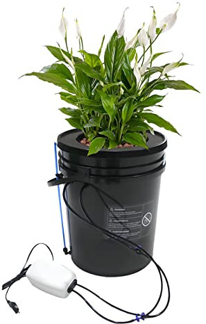 DRFGHK Système de Culture hydroponique DWC avec kit d'égouttage par Le Haut, kit de Culture hydroponique en Plastique de 5 gallons pour légumes Morus intérieurs/extérieurs