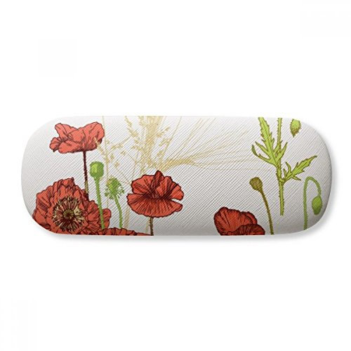 DIYthinker Damen Brillenetui Brillen Muschel-Shell-Halter-Aufbewahrungsbehälter 6.3 Zoll x 2.4 Zoll Mehrfarbig