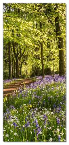 Wallario Selbstklebende Türtapete Blaues Hasenglöckchen im Sommerwald - Türposter 100 x 220 cm Abwischbar, rückstandsfrei zu entfernen