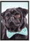 Pixxprint Lustiger Mops mit Fliege Leinwandbild 80x60 cm im Bilderahmen, Wandbild, Schattenfugenrahmen, Kein Poster