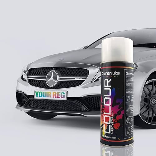 PaintNuts Colour Matched Car Touch Up Paint Aerosol By Registration
