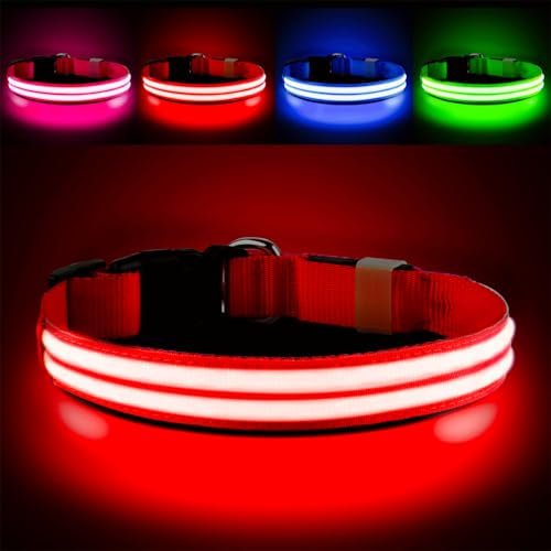 PcEoTllar Leuchthalsband Hund Aufladbar, Hundehalsband Leuchtend, Beleuchtetes LED Halsband für Hunde für Kleine Mittlere Große Hunde, Hunde Leuchthalsband Wasserdicht 3 Leuchtmodi, Rot-M