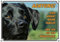 Petsigns Hundeschild schwarzer Labrador - Warnschild aus Stabiler Metallplatte, DIN A4