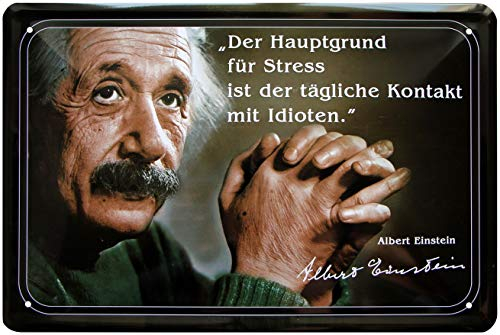 WOGEKA ART Retro Blechschild - Hauptgrund für Stress sind Idioten - lustiger Spruch als Geschenkidee zu Geburtstag Weihnachten zur Deko 20x30 cm Vintage Schild Metallschild 51