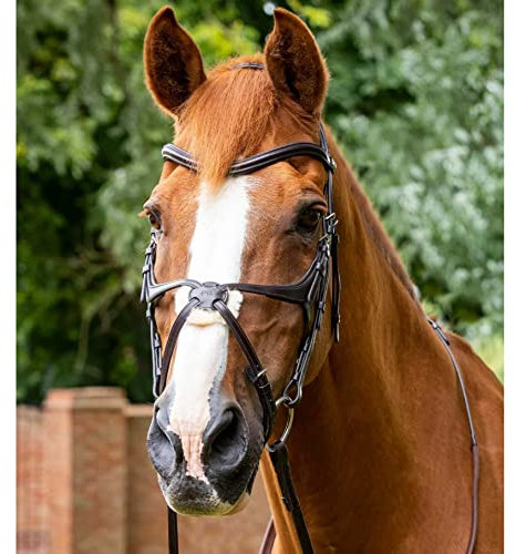 Premier Equine Trense Reithalfter mit gekreuztem Reithalfter Glorioso