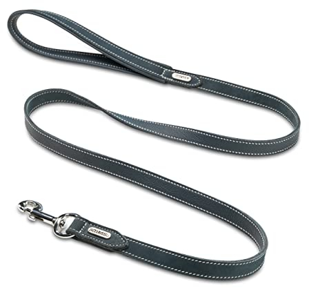 JACK & RUSSELL Premium Leder Hundeleine Lucy 1,5m | robuste & weiche Büffel-Lederleine aus Voll-Leder | Führleine mit Edelstahl-Karabiner - Lucy (Petrol)