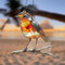 Acrylic Hanging Garden Suncatcher Robin on Branch 20cm Tall on a Metal Chain - Double Sided