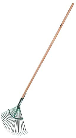 Freund Victoria - Fächerbesen