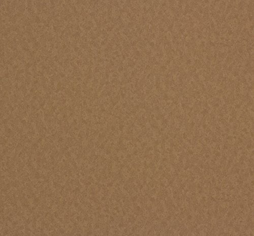 Erismann Vliestapete Eterna Tapete 5797-11 579711 Uni braun