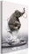 murando - Wandbilder Elefant 40x60 cm 1 tlg - Wand Deko Vlies Leinwand Bilder Groß Wanddeko Wohnzimmer Schlafzimmer Kunstdrucke - Tiere Abstrakt Zirkus Toilette Lustiges g-C-0346-b-a