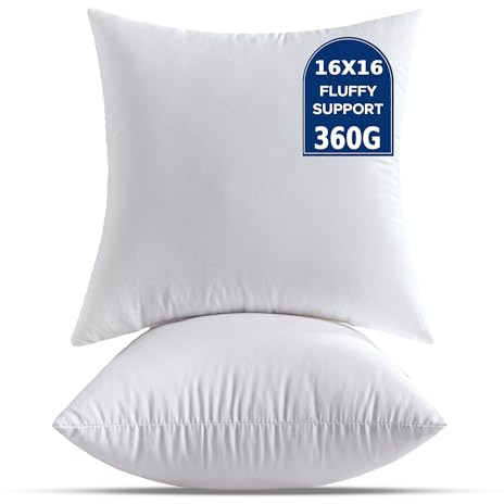 QSWRD 2er Set Kissenfüllung 40 x 40 cm Kleine Weiße Kisseninlet Dekokissen Kopfkissen für Wohnzimmer Couch Bett Quadratisch SofaKissen Zierkissen Innenkissen