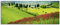 ARTland Wanddeko Glasbilder Wandbild Glas Bild einteilig 125x50 cm Querformat Natur Landschaft Gebirge Blumen Toskana Mediterran T5NU