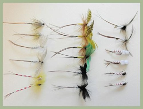 STX Mayfly-Angelfliegen, 18 gemischte Fliegen, Maifliegen, Parachute, usw., Größe 10, Frühsaison