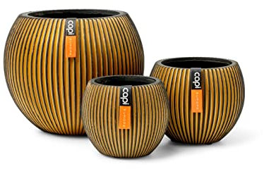 Capi Europe - Mix Box Gefäß Kugel Groove Gold - Gold - Blumentöpfe für den Innenbereich - Geschenkset