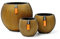 Capi Europe - Mix Box Gefäß Kugel Groove Gold - Gold - Blumentöpfe für den Innenbereich - Geschenkset